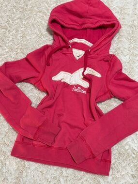 Vintage Hollister red/pink hoodie with white bird embroidery